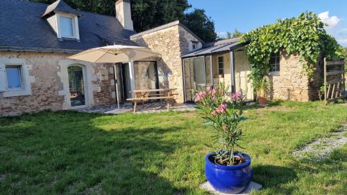 Blaison-Saint-Sulpice House | Gite La berlotte