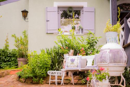 Zalakaros House | Gitta35 Vendégház - Zalakaros