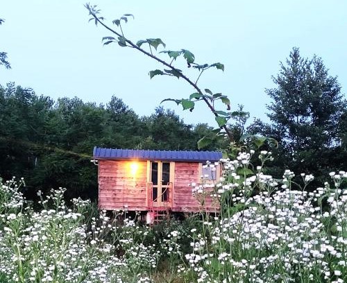 Albairate House | Glamping Casetta sul lago