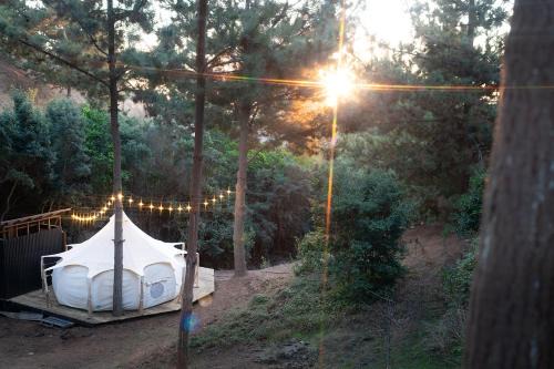 Navidad Other | Glamping de Matanzas