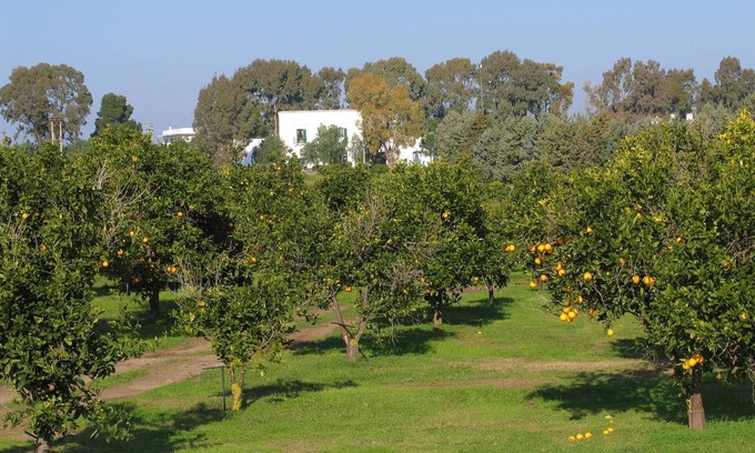 Bernalda House | Golf Club Metaponto