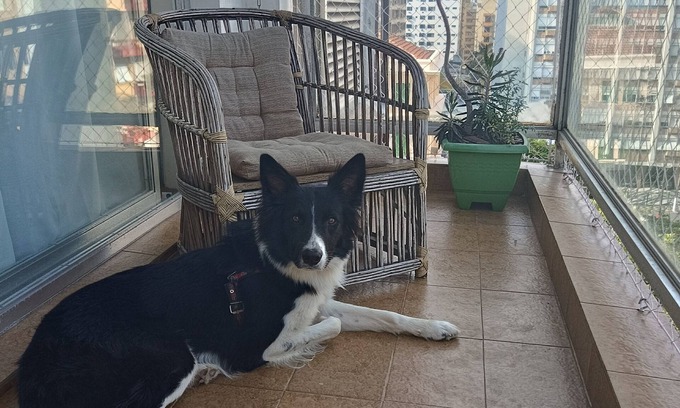 Santos Apartment | Gonzaga ap 2 Bedrooms with sea view balcony