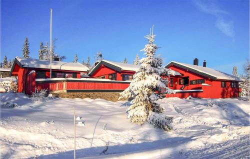 Trysil House | Gorgeous Home In Østby With Wifi
