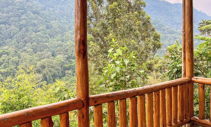 Bwindi Cabin | Gorilla Bluff Lodge