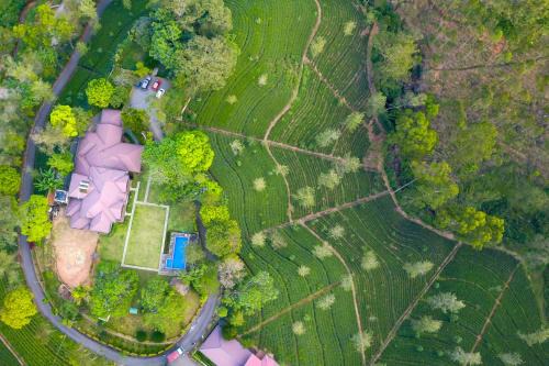 Lindula Resort | Grand Argyle Resort