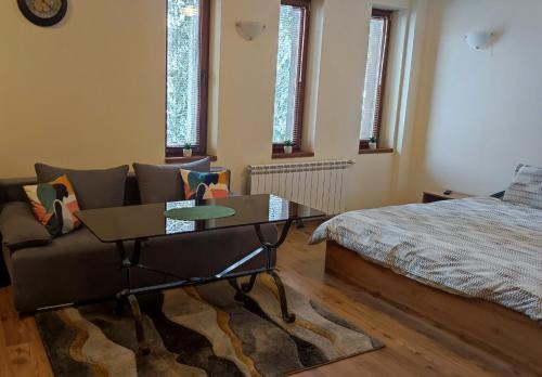 Pamporovo Apartment | Grand Studio A1