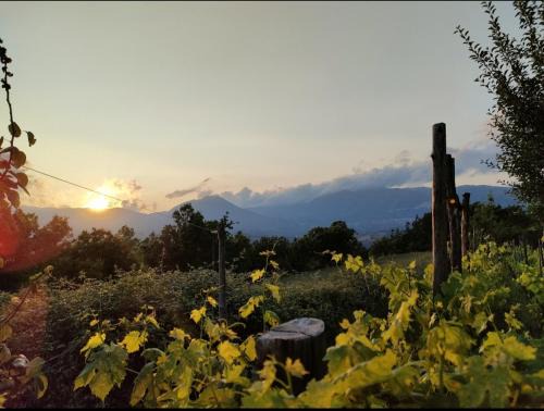 Laino Castello Apartment | GrappoloNero