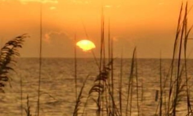 Indian Shores Cottage | Ground Floor just steps from the beach!