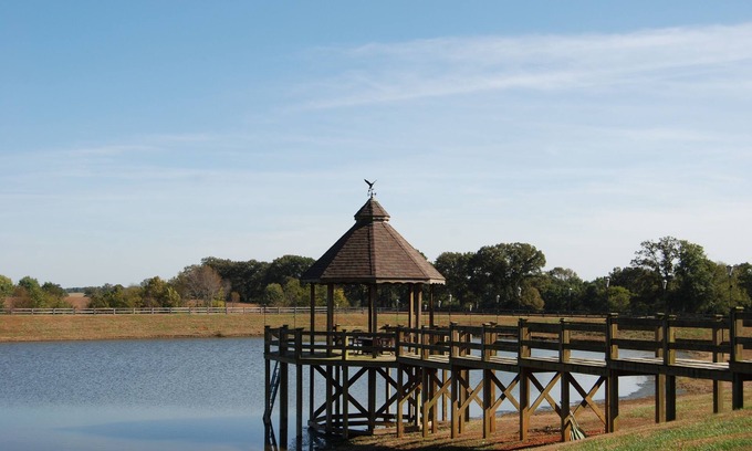 Springfield House | Guest home on 100 acre ranch out in the country but minutes from Nashville, TN