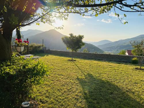 Albania House | Guest House Nino's