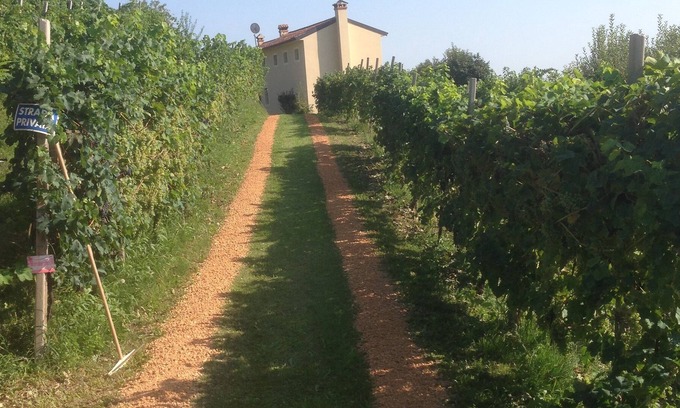 Vittorio Veneto House | Guest house with 2 apartments on the estate with Prosecco vineyard
