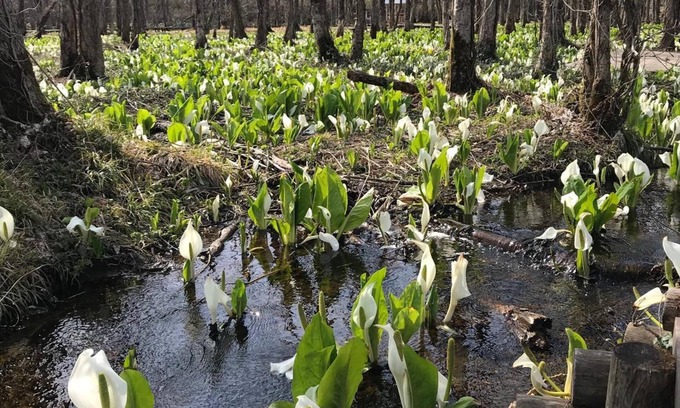 Kakunodate House | Guesthouse Fuga