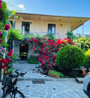 T'ba House | Guesthouse Mtkvari