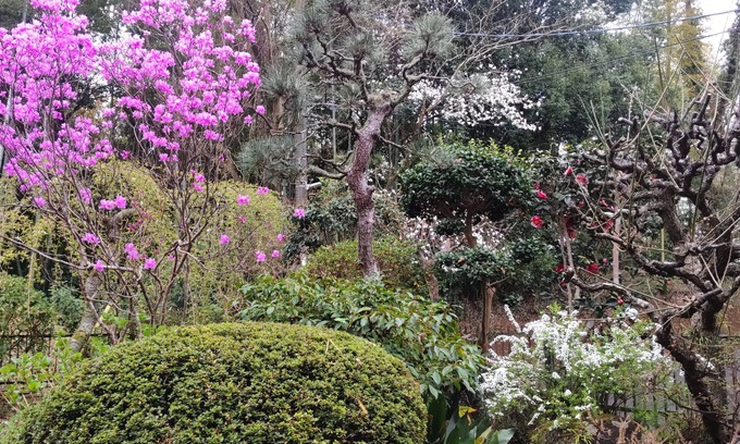 Wakaba House | Guesthouse Oomiya base