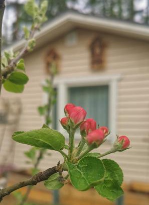 Heinola Apartment | Guesthouse with Sauna