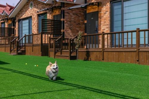 Gyeongju House | Gyeongju Helper pet Pension