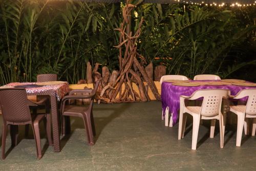 San Carlos Apartment | Habitación grupal en San Carlos con Desayuno incluído y acceso al rio