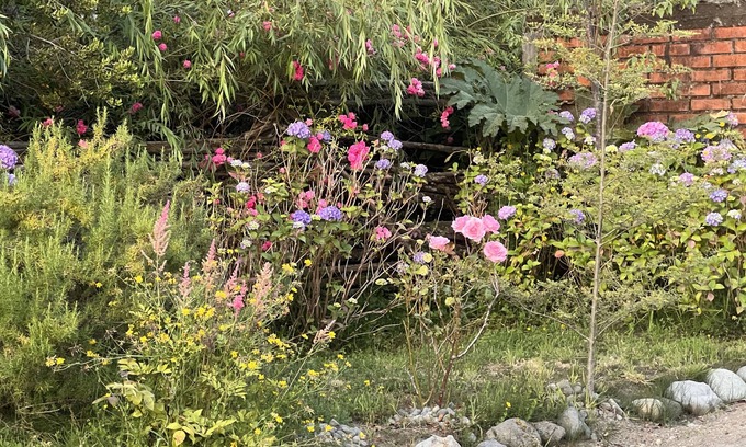 Ensenada Bed & Breakfast | Hamilton's Place