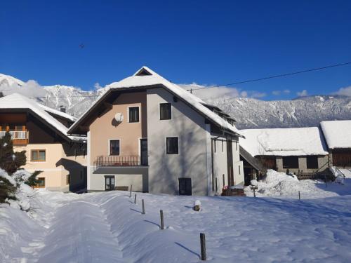 Hermagor-Pressegger See Apartment | Haus Nampolach