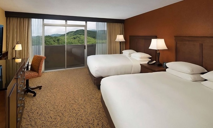 Gatlinburg Hotel | Haven of Indulgent Relaxation! 2 Relaxing Units, Pet-friendly!