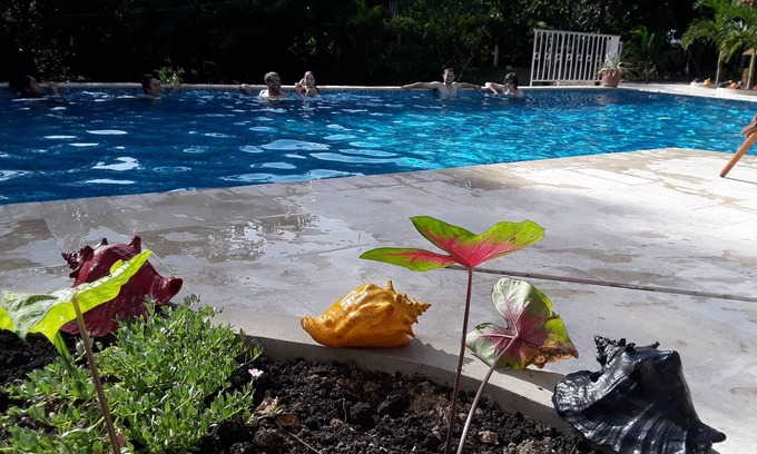 Unitedville Cabin | Heliconia is a self catering studio cabin with jungle facing private balcony