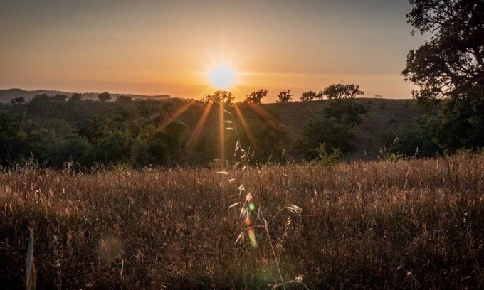 Odemira Cottage | Herdade da Maceira