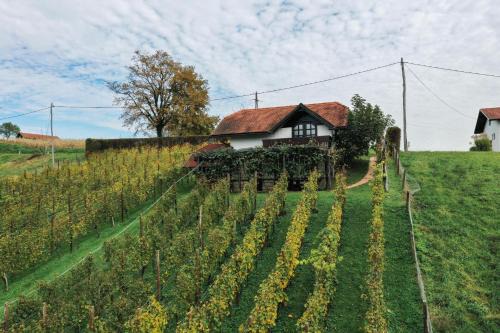 Kamence House | Hiška Brajda