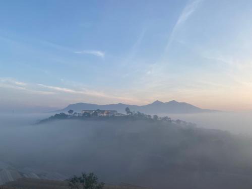 Da Lat Hotel | Himori homestay & coffee