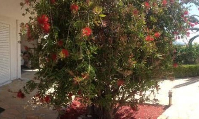 Eretria Apartment | Holiday apartment Eretria Evia for 1 - 3 persons with 1 bedroom - Holiday apartment