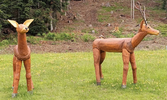 Danta di Cadore Apartment | Holiday Apartment "Natura E Comfort" with Mountain View and Private Terrace