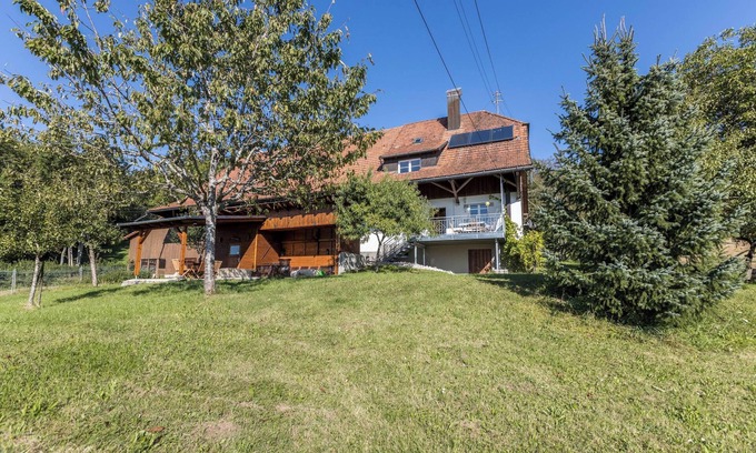 Blumberg House | Holiday Home "Der Lachenbuckhof" in the Black Forest with Playground, Garden and Terrace