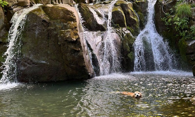 Fanano House | Holiday Home 'La Casa Della Piazzetta' with Mountain View, Shared Garden and Wi-Fi