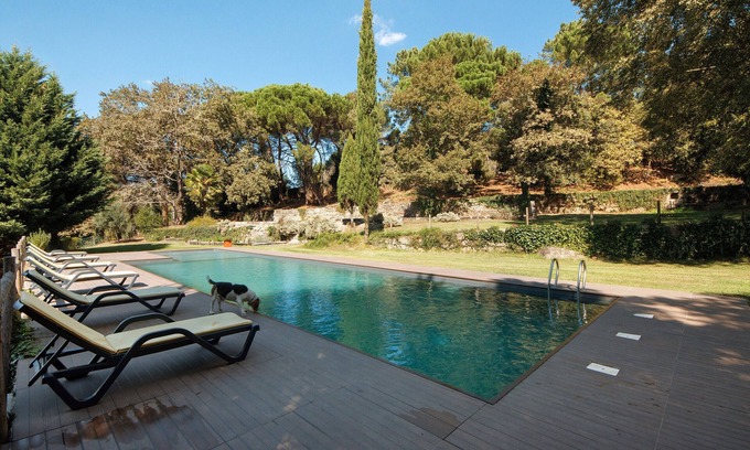 Beijos House | Holiday Home 'Casa De Andrães Magnolias' with Shared Pool, Wi-Fi and Air Conditioning