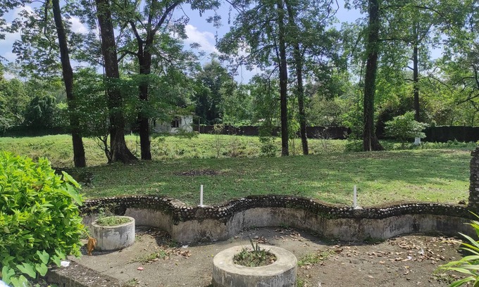 Barpeta Hotel | Homecation Manas View Jungle Resort