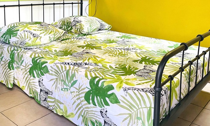 Basse-Terre Apartment | Homerez - Fantastic studio apartment With garden