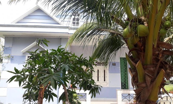 Phuoc Dan House | HOMESTAY OF GREEN FIELDS