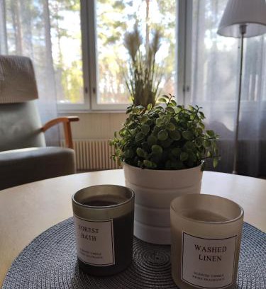 Kajaani Apartment | Honkatilat majoitus as 3