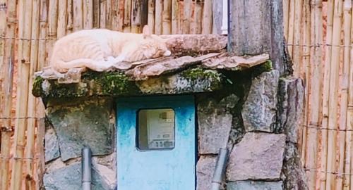 Monteiro Lobato Resort | HOSPEDAGEM Vó MARINA