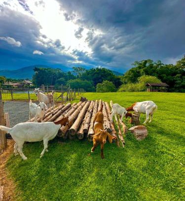 Pomerode Apartment | Hospedagem Zilz