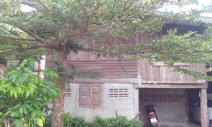 Pai House | Host family Pai learning nature (free pick up)