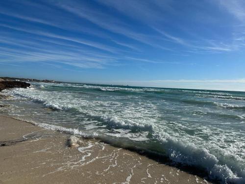 Sa Rapita Hotel | Hostal Ca'n Pep