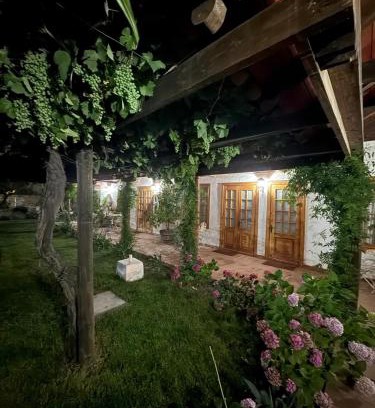 Palmilla House | Hostal Campo Divino