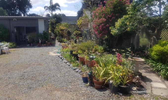 Matarangi House | Hosts on the Coast Unwind on Waimaire