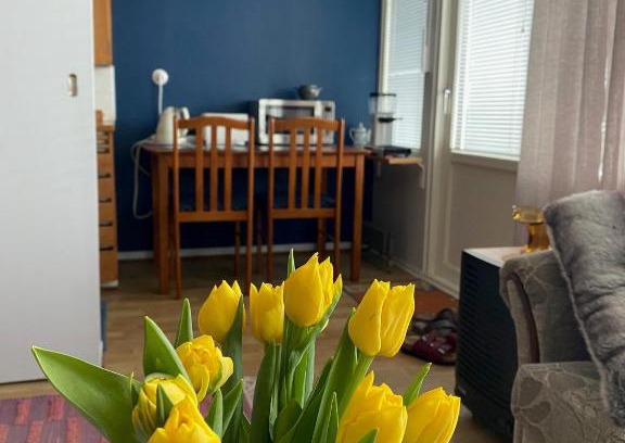 Vaasa Apartment | Hot spot of Vaasa, large balcony, City Hall views