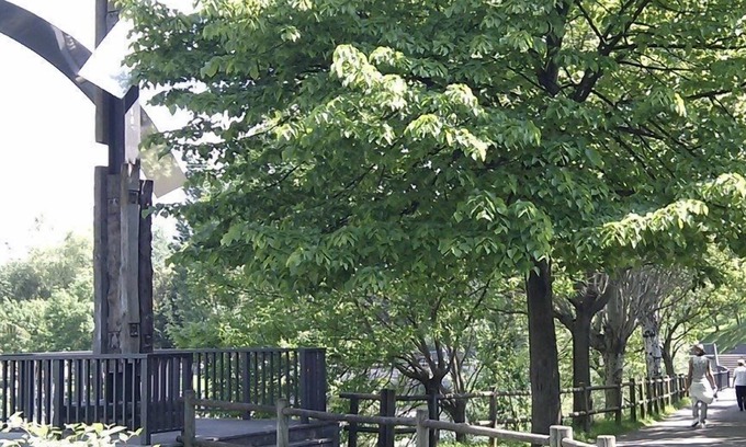 Basauri Hotel | Hotel Armiñe