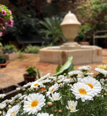 Perelada Hotel | Hotel de La Font Peralada