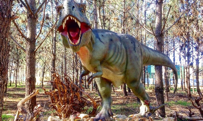 Atalaia Hotel | Hotel Dom Lourenço