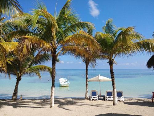 Mahahual Hotel | Hotel Inkanto