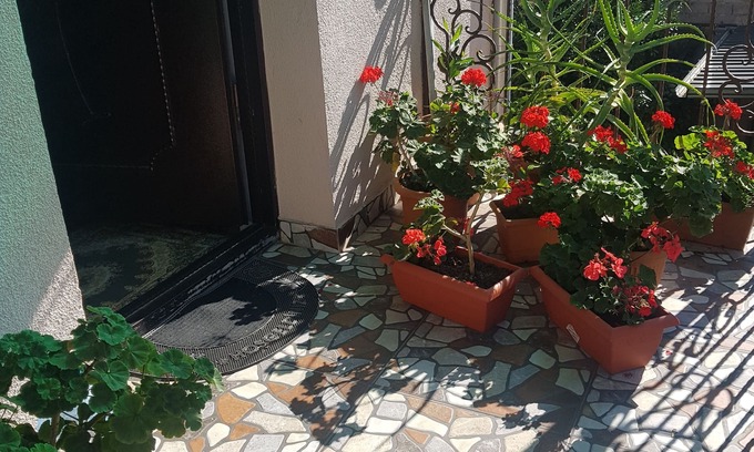 Kutaisi Hotel | Hotel Mariana