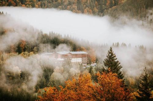 Tale Hotel | Hotel Partizán